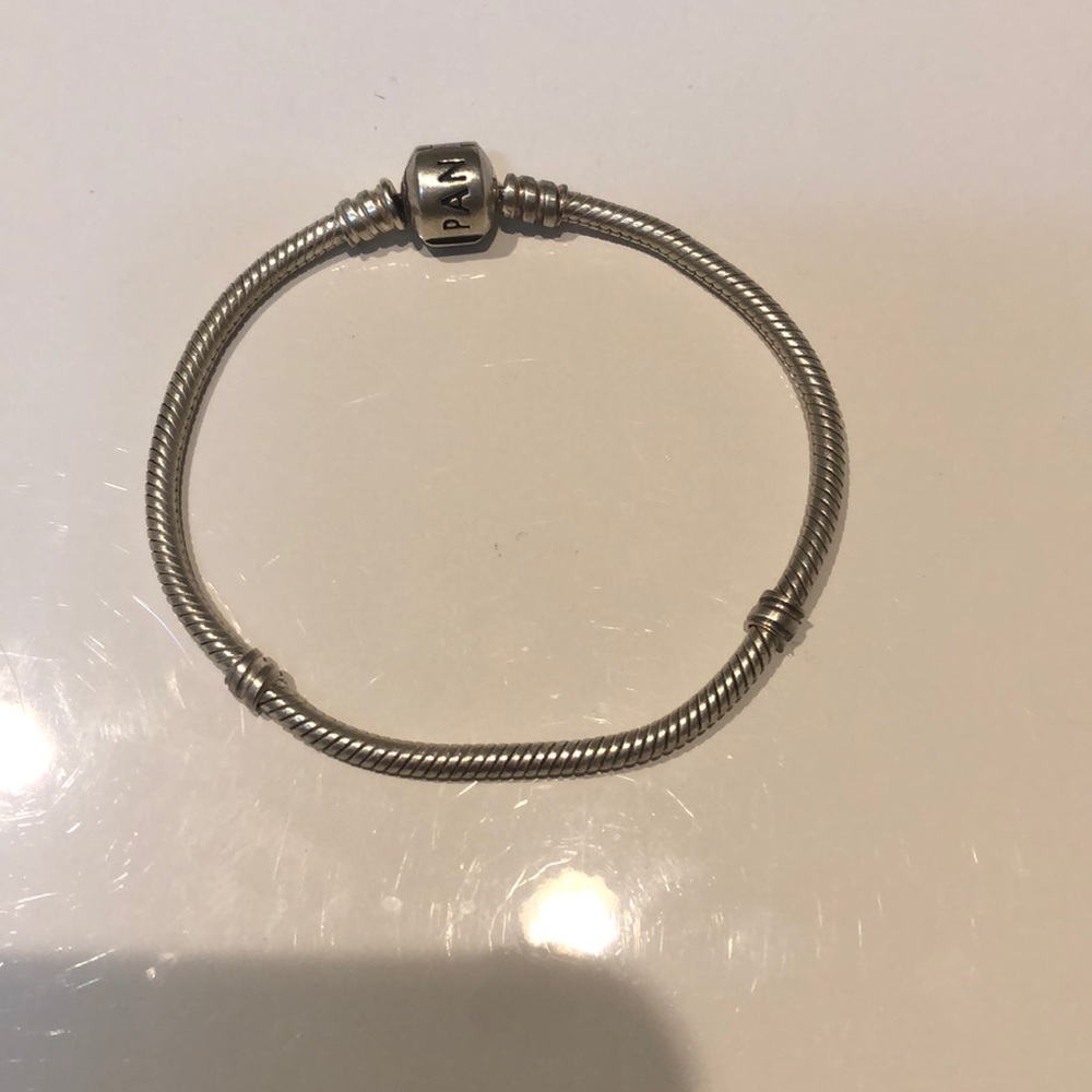 Pandora Charm bracelet
